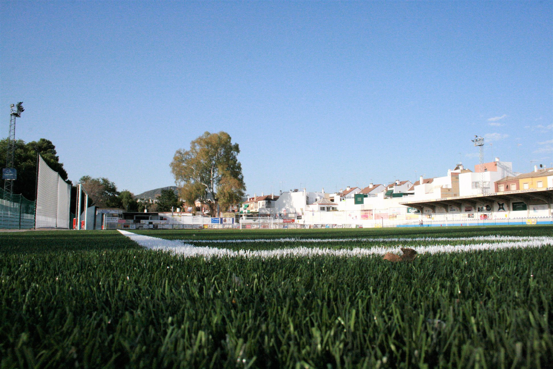  Campo de fútbol Alameda 3